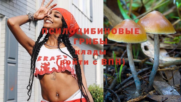 прущие грибы Арсеньев