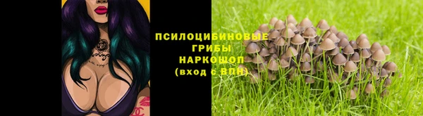 эйфоретик Зеленодольск