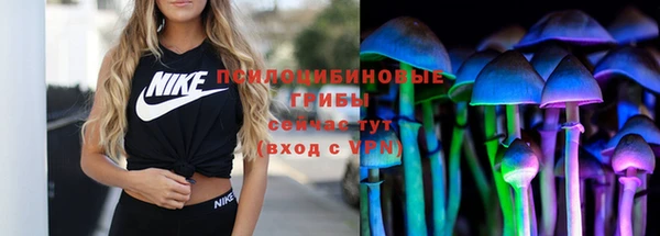 прущие грибы Арсеньев