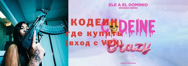 прущие грибы Арсеньев