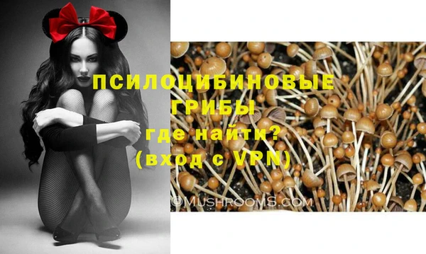 ПСИЛОЦИБИНОВЫЕ ГРИБЫ Армянск