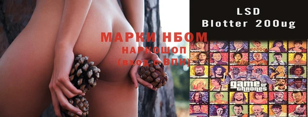 прущие грибы Арсеньев