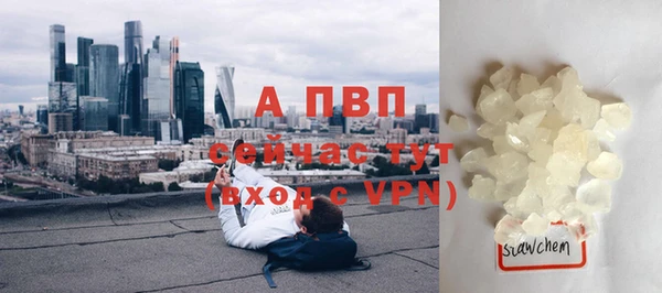 прущие грибы Арсеньев